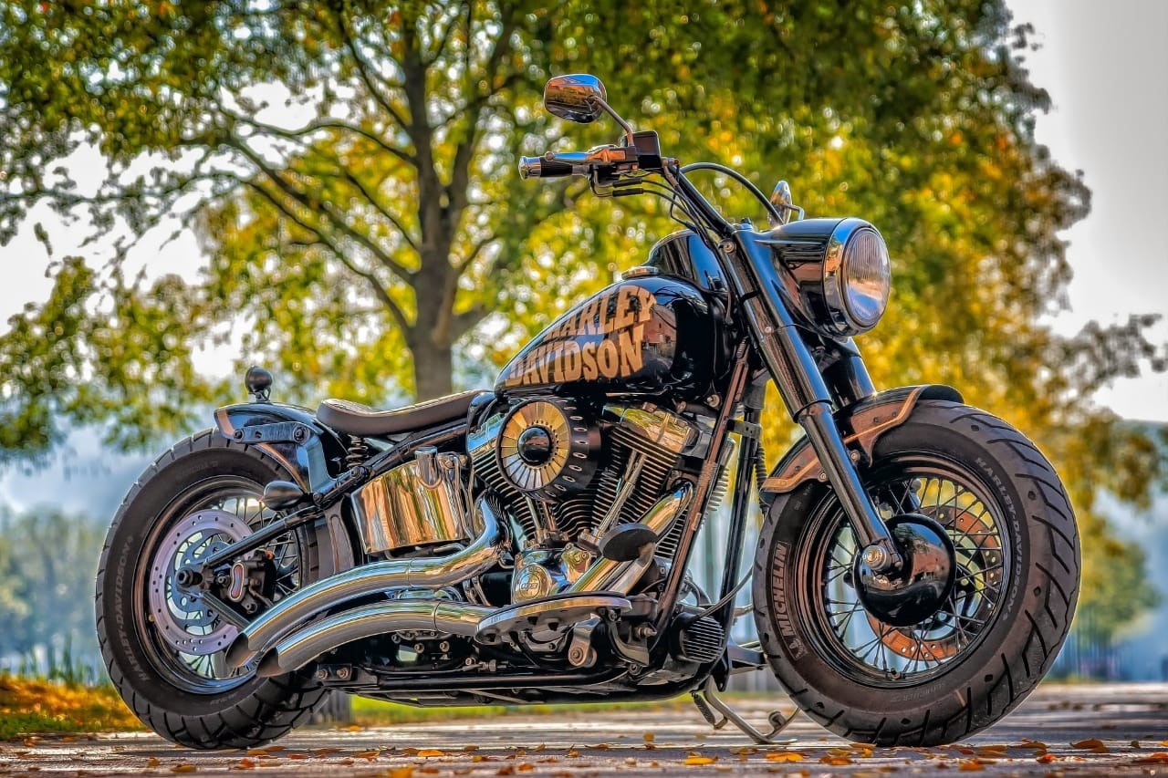 Harley Davidson VS Triumph